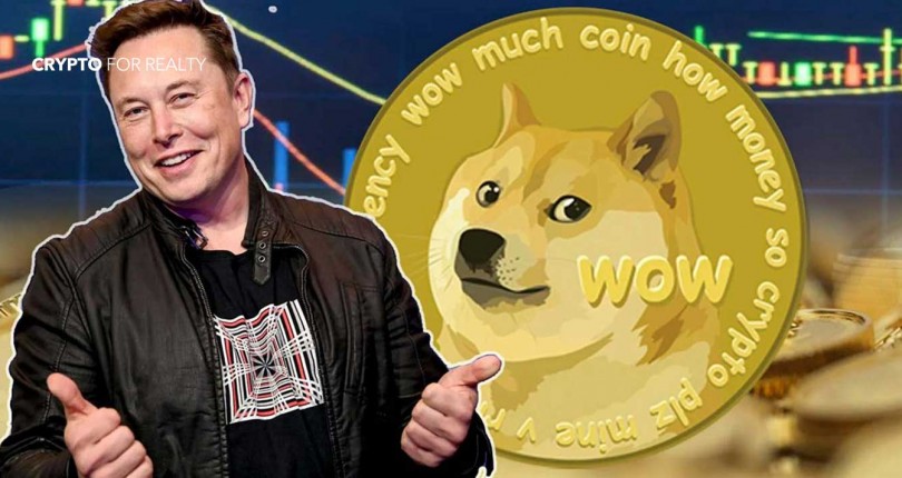 Elon Musk announced Tesla will accept Dogecoin as a payment method for merchandise